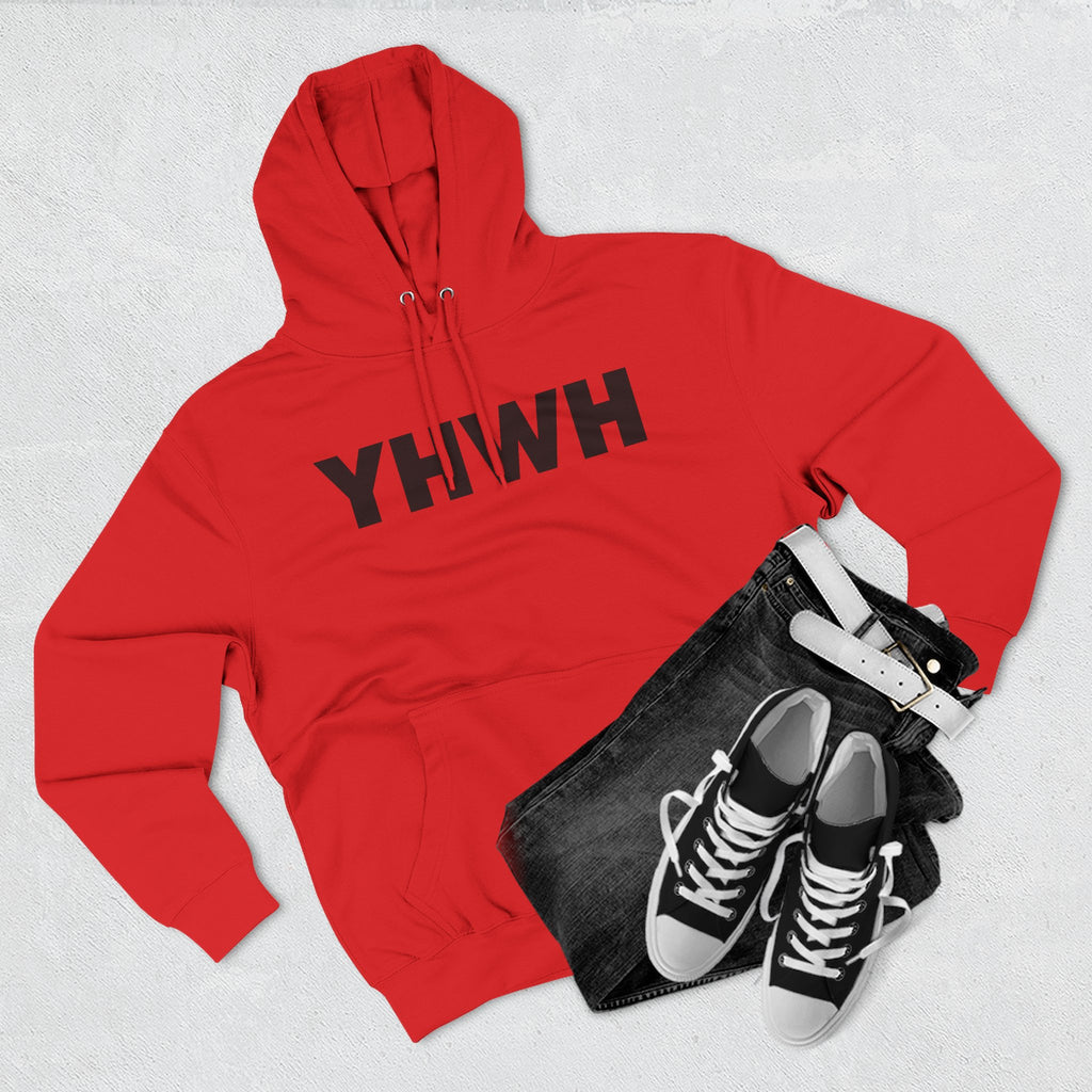 Three-Panel Fleece Hoodie